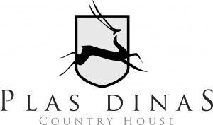 Plas dinas logo grayscale
