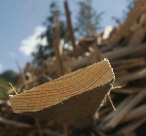 woodcrop