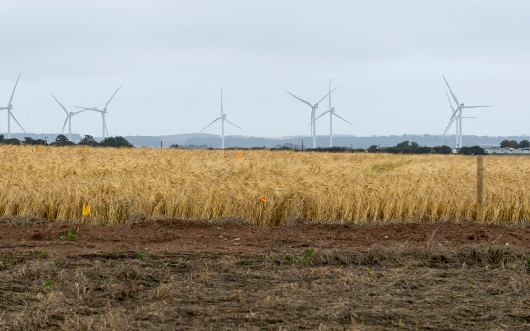 How to grow and maintain support for your green project