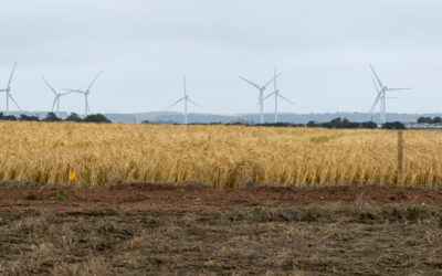 How to grow and maintain support for your green project