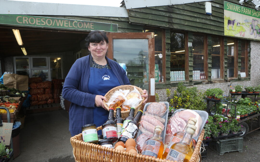 Flintshire County Council case study